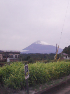 ☆お姫様ご来店☆