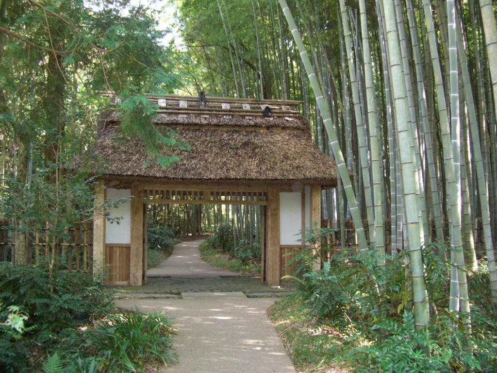 プジョー・オーナーのオススメする・・・・・・・・・・・・・ちょこっとグルメ・和カフェ編