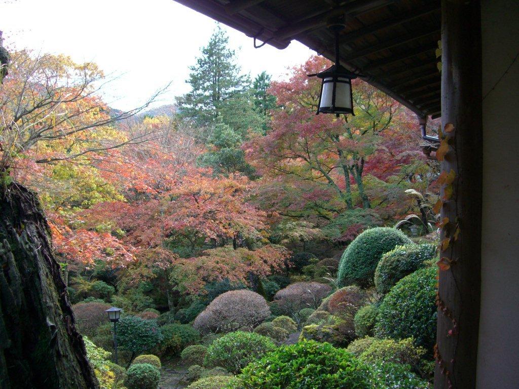 プジョー・オーナーのオススメする・・・・・・・・・・・・・ちょこっとグルメ・紅葉編２００９