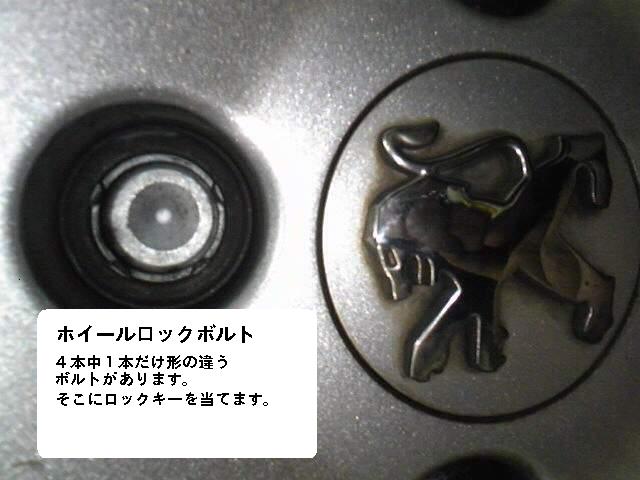 寒くなってきましたね！