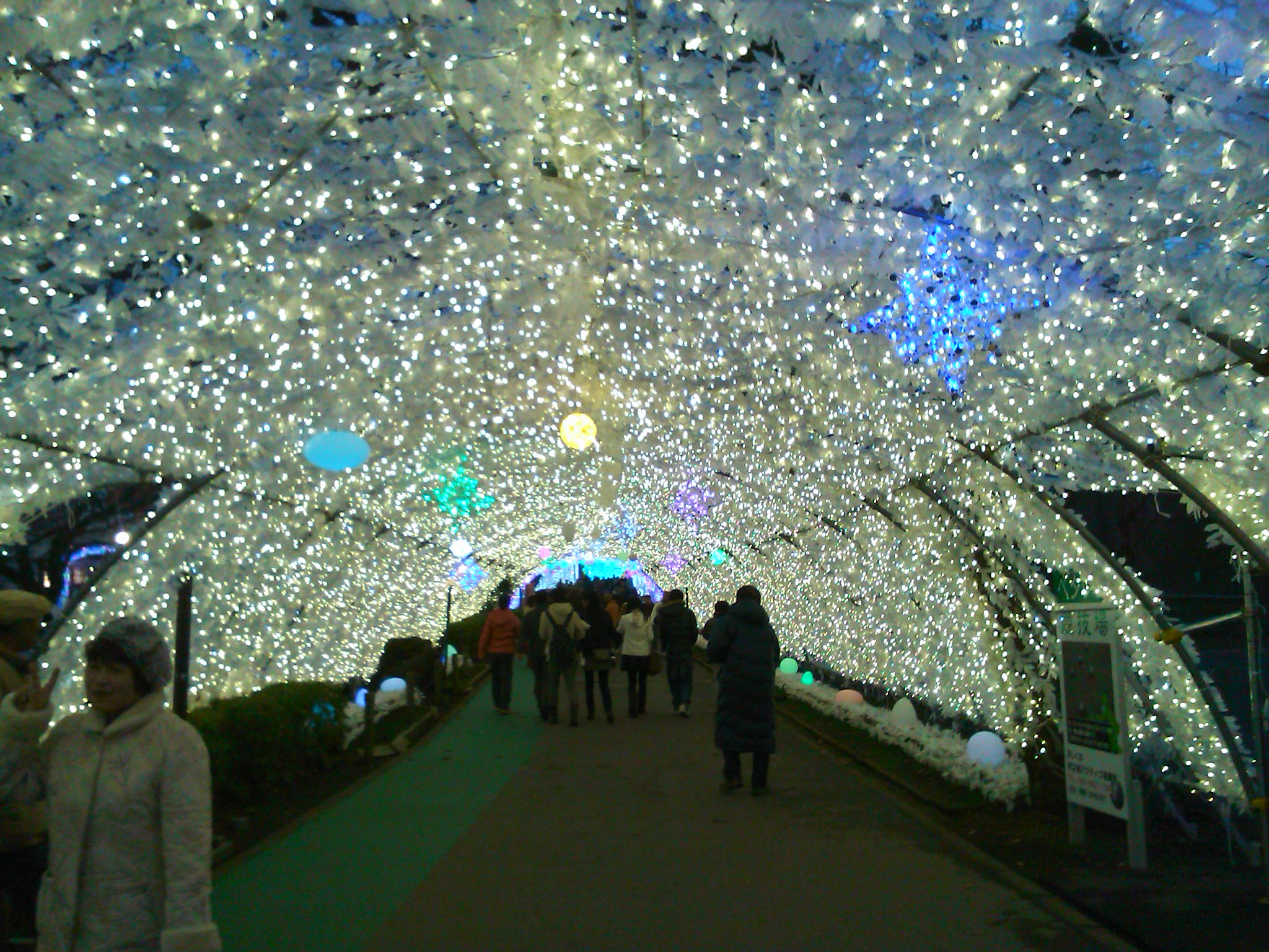 ”キラキラ”行ってきました。