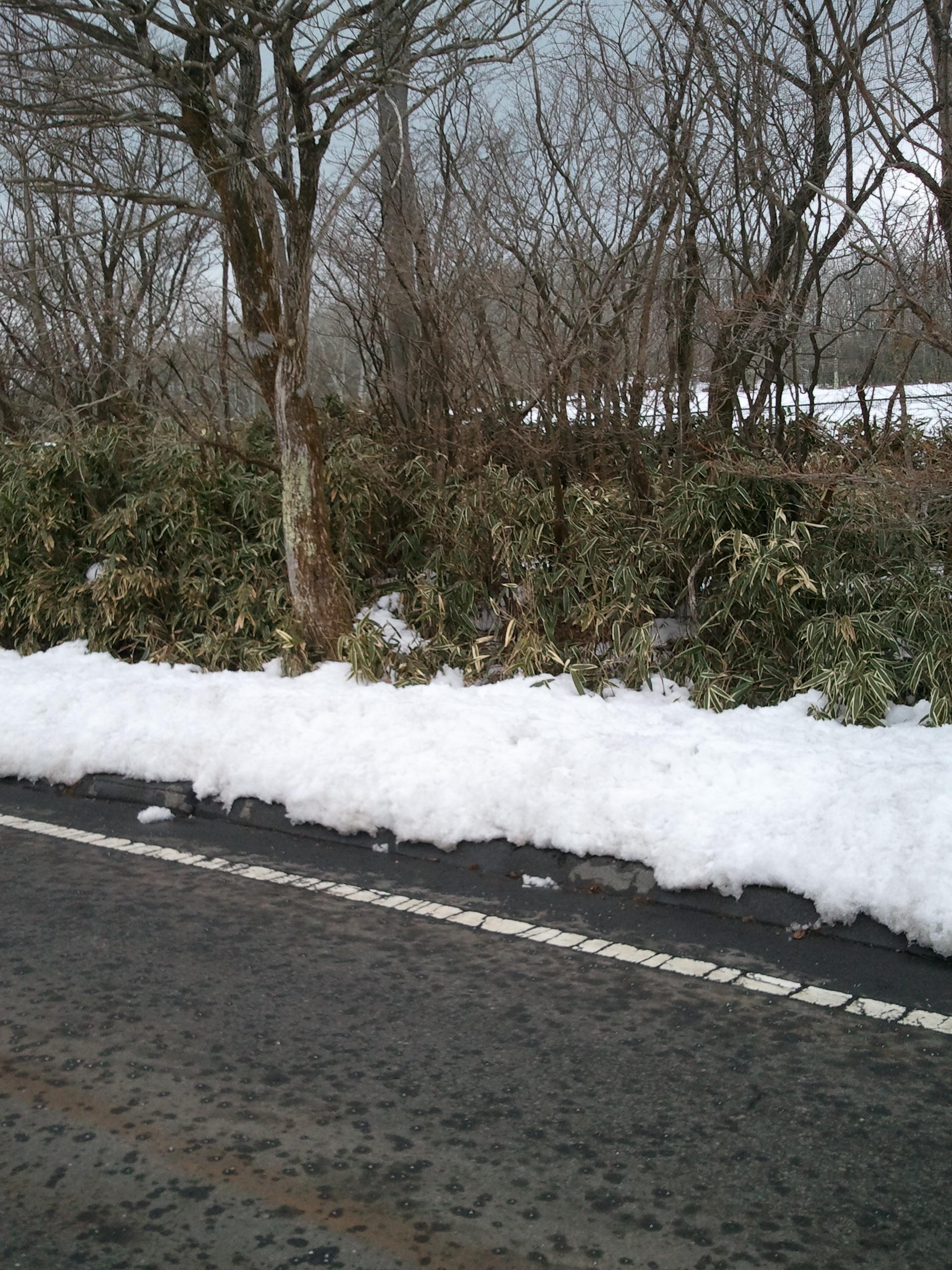 オイラの休日。