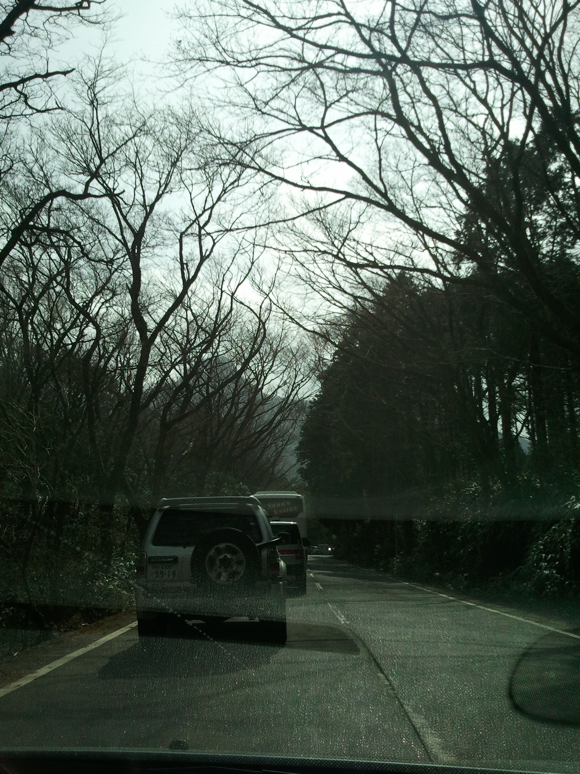 久しぶりの休日でしょ。お出掛けしよう。