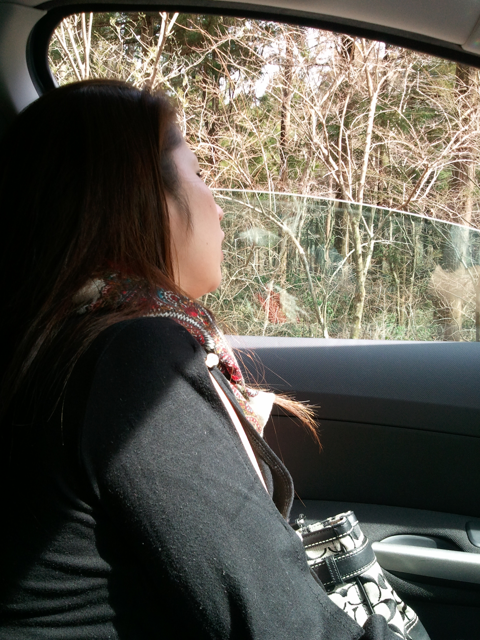 久しぶりの休日でしょ。お出掛けしよう。