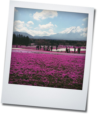 花☆花