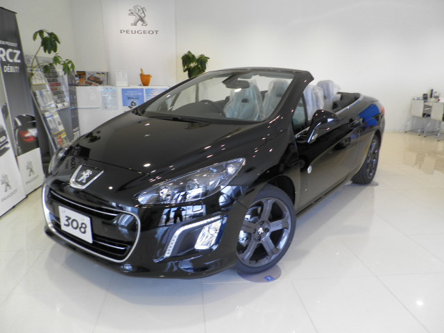 限定車３０８CC/Ｒｏｌａｎｄ‐Ｇａｒｒｏｓ