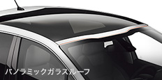限定100台！！２０８ROLAND GARROS デビュー！！