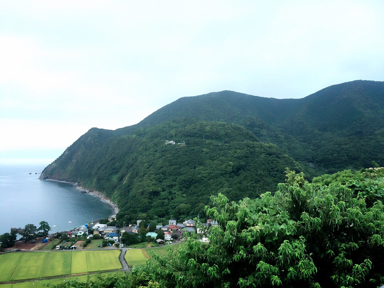 夏季休暇＾＾