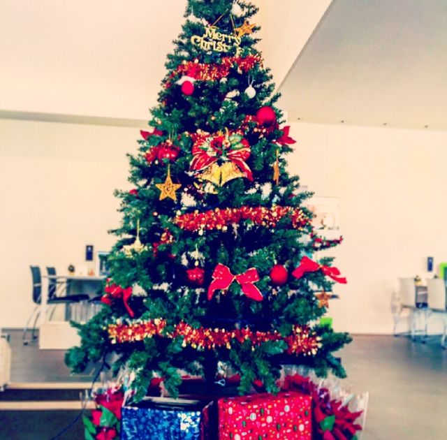 ショールームはクリスマスモードです！！
