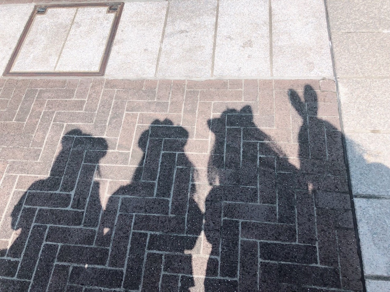 本日より営業しております